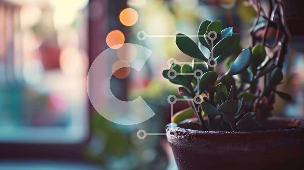 Intra Συλλεκτικό Ξύλινο Παζλ Plywood  4mm - Υγιές φυτό σε γλάστρα στο περβάζι παραθύρου με ανοιχτό παράθυρο Σε Ξύλινο Κουτί - Διαστάσεις: 10x10 cm – 25 κομμάτια