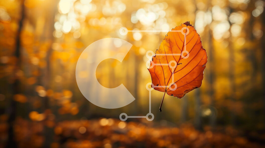 Intra Συλλεκτικό Ξύλινο Παζλ Plywood  4mm - Μονό πορτοκαλί φθινοπωρινό φύλλο που επιπλέει στο δάσος Σε Ξύλινο Κουτί - Διαστάσεις: 10x10 cm – 25 κομμάτια