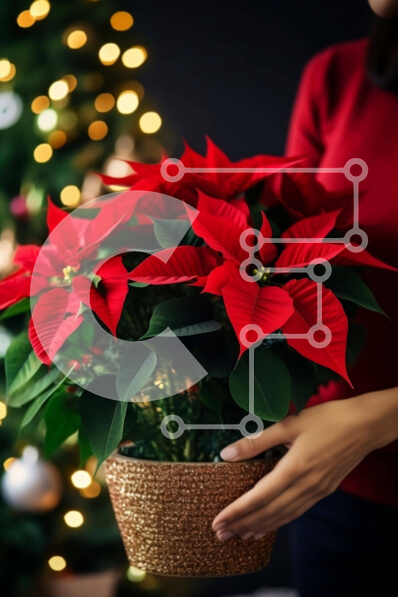 Intra Συλλεκτικό Ξύλινο Παζλ Plywood  4mm - Γυναίκα με φυτό Poinsettia σε γλάστρα και φωτισμένο χριστουγεννιάτικο δέντρο Σε Ξύλινο Κουτί - Διαστάσεις: 10x10 cm – 25 κομμάτια