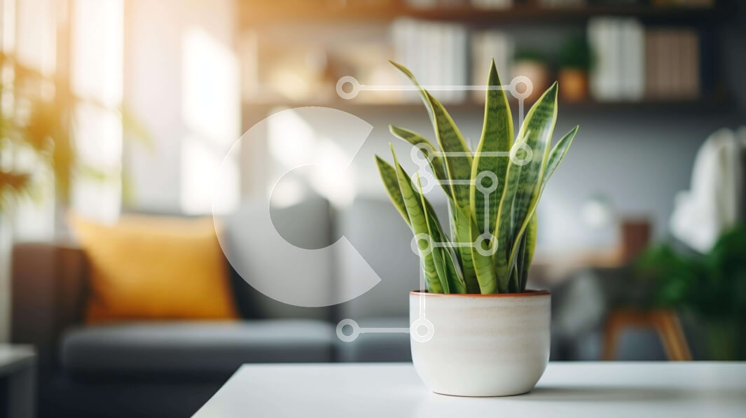 Intra Συλλεκτικό Ξύλινο Παζλ Plywood  4mm - Λευκό φυτό σε γλάστρα σε ανοιχτό χώρο διαβίωσης Σε Ξύλινο Κουτί - Διαστάσεις Puzzle: 10x10 cm – 25 κομμάτια