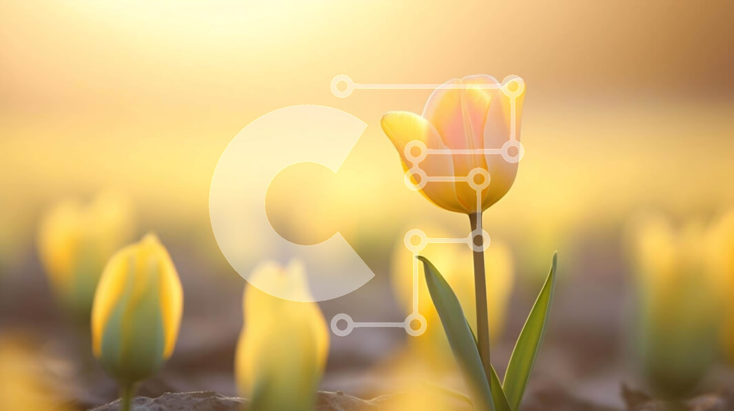 Intra Συλλεκτικό Ξύλινο Παζλ Plywood  4mm - Μονή κίτρινη τουλίπα στο πεδίο των κίτρινων λουλουδιών Σε Ξύλινο Κουτί - Διαστάσεις: 10x10 cm – 25 κομμάτια