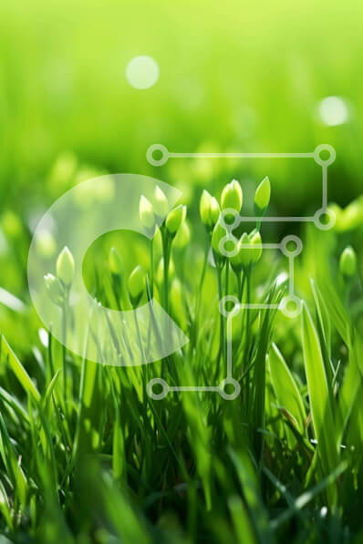 Σετ των 2 Intra Συλλεκτικό Ξύλινο Παζλ Plywood  4mm - Πράσινο χωράφι με μικρά χόρτα Σε Ξύλινο Κουτί - Διαστάσεις: 10x10 cm – 25 κομμάτια