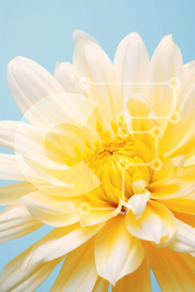 Σετ των 2 Intra Συλλεκτικό Ξύλινο Παζλ Plywood  4mm - Δονούμενο κίτρινο λουλούδι σε μπλε φόντο Σε Ξύλινο Κουτί - Διαστάσεις: 10x10 cm – 25 κομμάτια