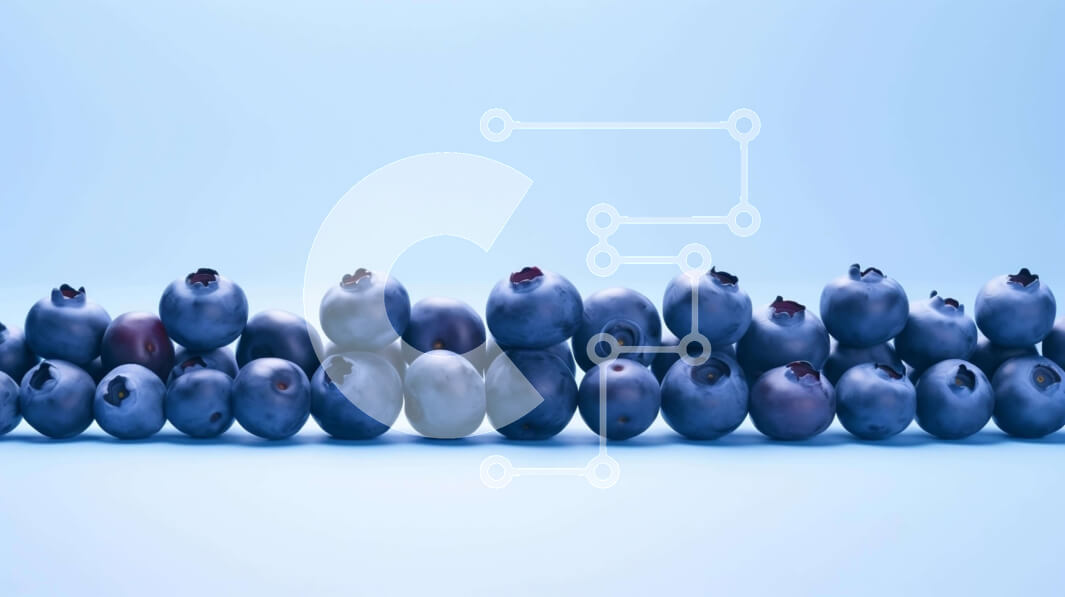 Σετ των 2 Intra Συλλεκτικό Ξύλινο Παζλ Plywood  4mm - Κάθετη διάταξη βατόμουρων Σε Ξύλινο Κουτί - Διαστάσεις: 10x10 cm – 25 κομμάτια