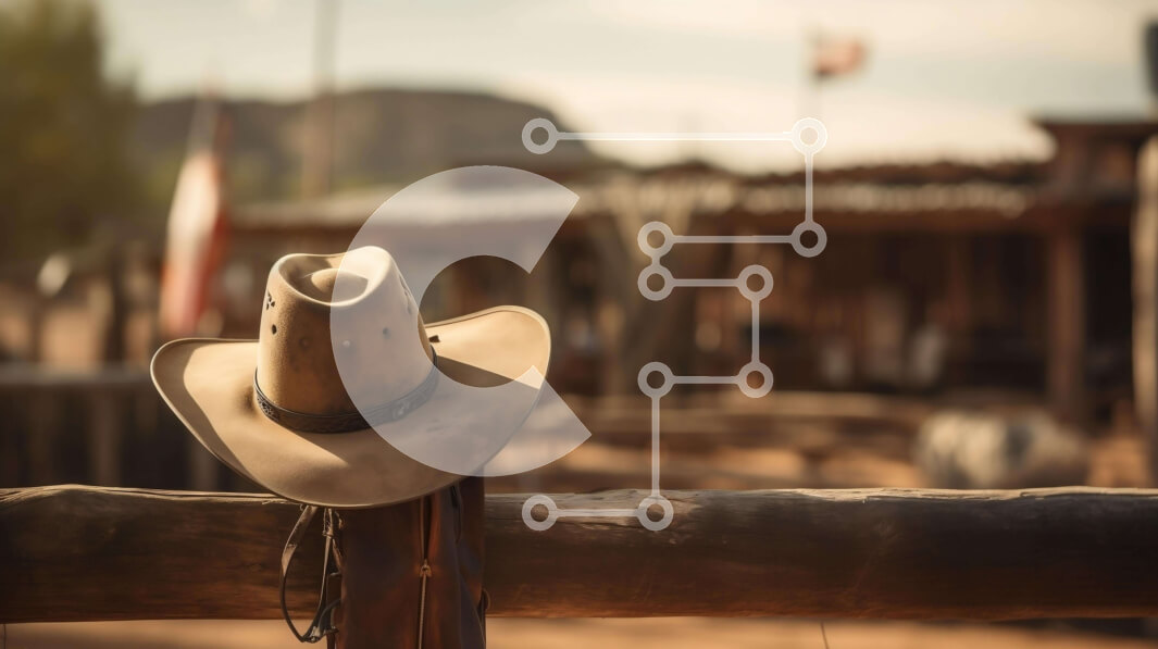 Intra Συλλεκτικό Ξύλινο Παζλ Plywood  4mm - Ρουστίκ καπέλο καουμπόη και τουφέκια σε φράχτη Σε Ξύλινο Κουτί - Διαστάσεις: 10x10 cm – 25 κομμάτια