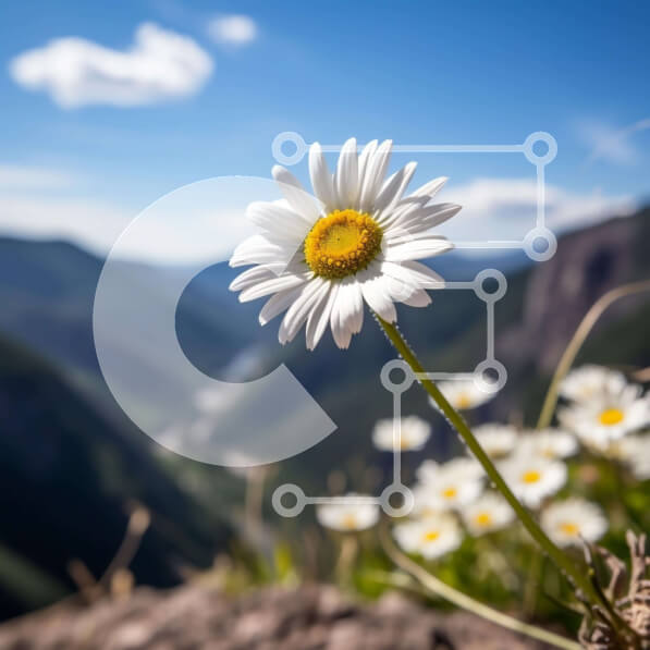 Intra Συλλεκτικό Ξύλινο Παζλ Plywood  4mm - Όμορφη λευκή μαργαρίτα στην κορυφή του βουνού Σε Ξύλινο Κουτί - Διαστάσεις: 10x10 cm – 25 κομμάτια