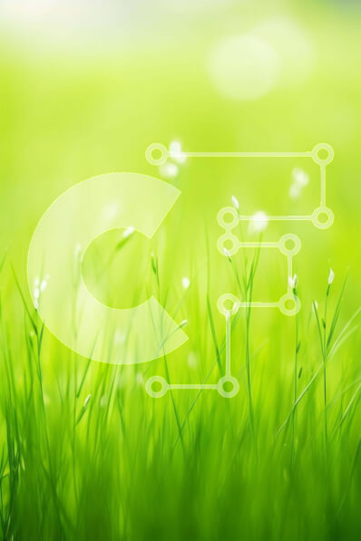 Σετ των 2 Intra Συλλεκτικό Ξύλινο Παζλ Plywood  4mm - Πράσινο χωράφι με γρασίδι με λευκά λουλούδια στο έντονο φως του ήλιου Σε Ξύλινο Κουτί - Διαστάσεις: 10x10 cm – 25 κομμάτια