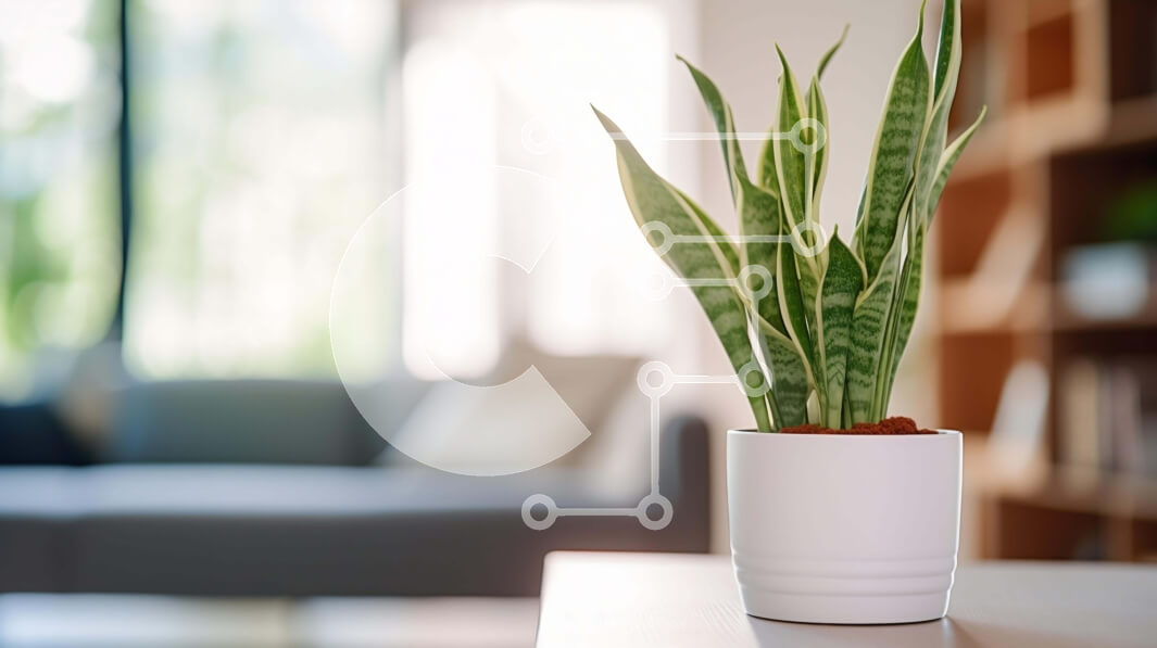 Intra Συλλεκτικό Ξύλινο Παζλ Plywood  4mm - Λευκό φυτό σε γλάστρα σε ανοιχτό σαλόνι Σε Ξύλινο Κουτί - Διαστάσεις Puzzle: 10x10 cm – 25 κομμάτια