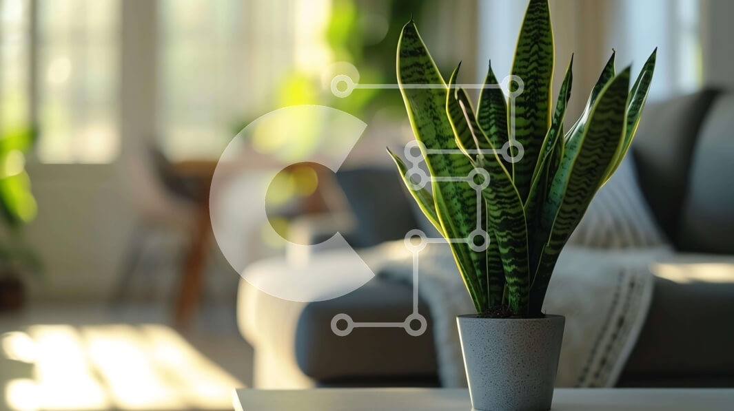 Intra Συλλεκτικό Ξύλινο Παζλ Plywood  4mm - Μικρό φυτό σε γλάστρα σε τραπεζάκι σαλονιού στο ανοιχτό σαλόνι Σε Ξύλινο Κουτί - Διαστάσεις Puzzle: 10x10 cm – 25 κομμάτια