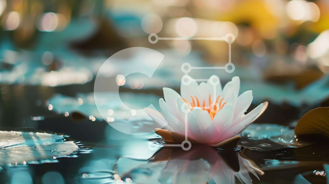 Intra Συλλεκτικό Ξύλινο Παζλ Plywood  4mm - Λευκό νούφαρο σε φυσικό βιότοπο Σε Ξύλινο Κουτί - Διαστάσεις: 10x10 cm – 25 κομμάτια