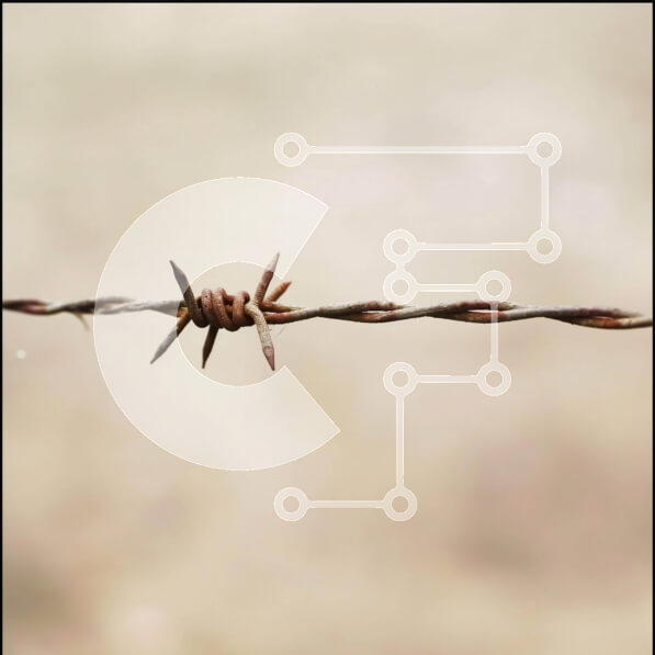 Intra Συλλεκτικό Ξύλινο Παζλ Plywood  4mm - Σκουριασμένο συρματόπλεγμα για προστασία ιδιοκτησίας Σε Ξύλινο Κουτί - Διαστάσεις: 10x10 cm – 25 κομμάτια