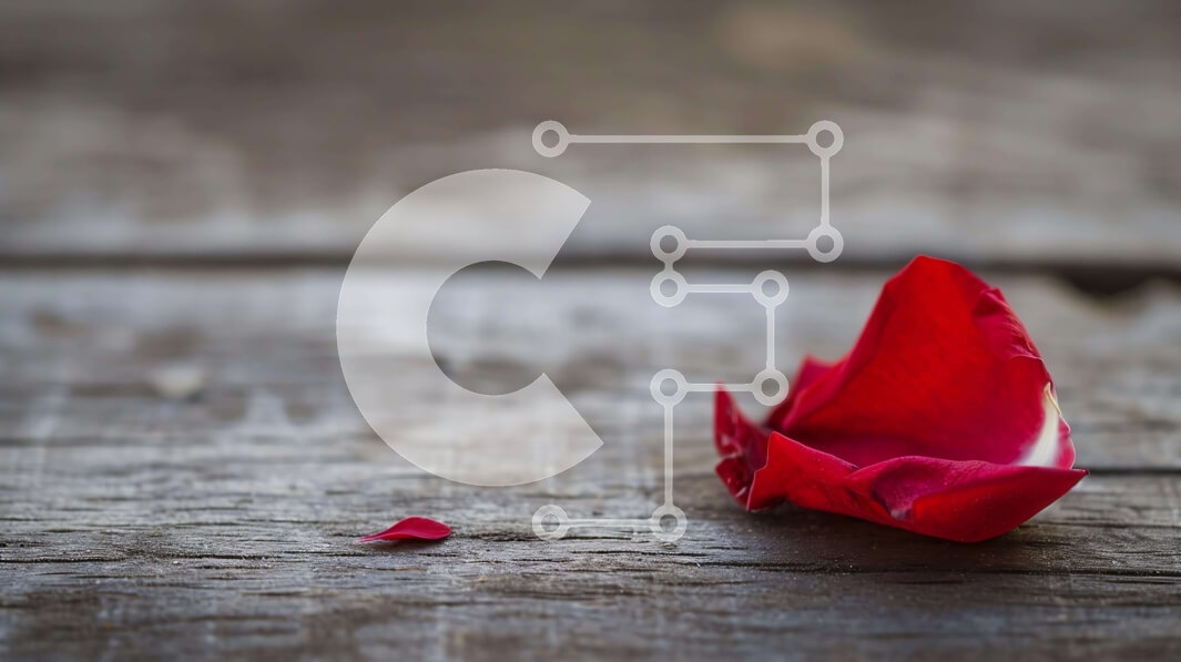 Intra Συλλεκτικό Ξύλινο Παζλ Plywood  4mm - Εγκαταλελειμμένο κόκκινο ροδοπέταλο σε ρουστίκ ξύλινο τραπέζι Σε Ξύλινο Κουτί - Διαστάσεις: 10x10 cm – 25 κομμάτια