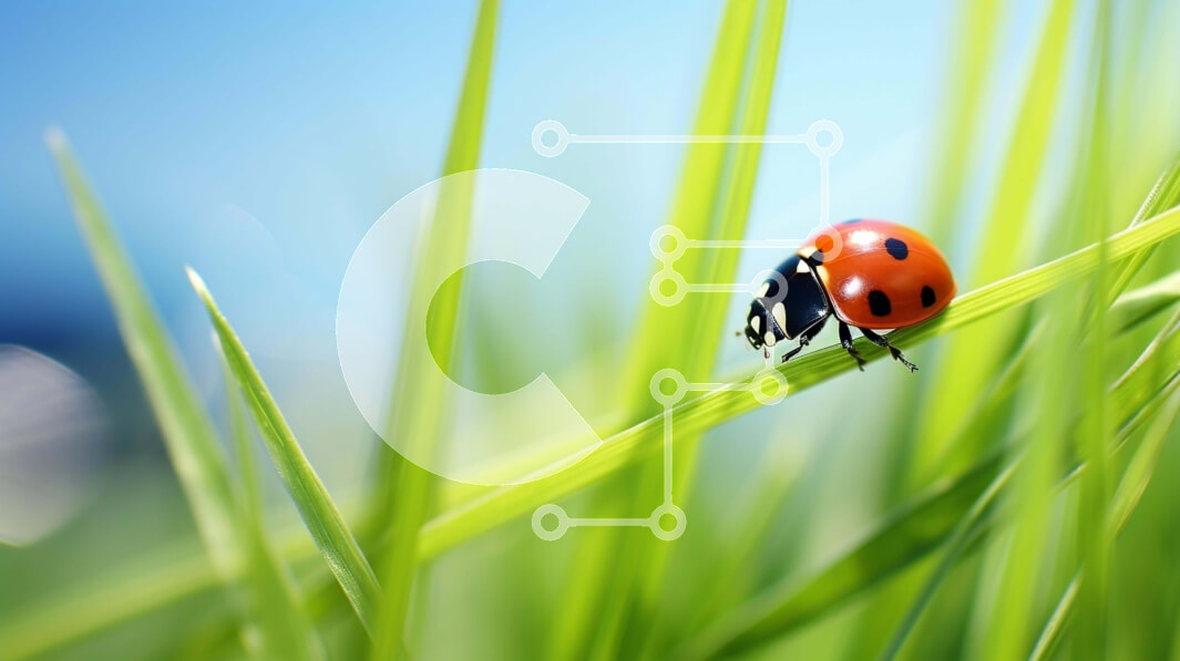 Intra Συλλεκτικό Ξύλινο Παζλ Plywood  4mm - Πασχαλίτσα στο πράσινο γρασίδι Σε Ξύλινο Κουτί - Διαστάσεις: 10x10 cm – 25 κομμάτια