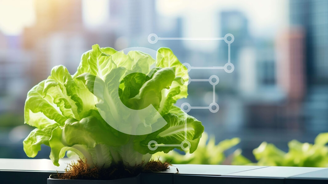 Intra Συλλεκτικό Ξύλινο Παζλ Plywood  4mm - Φυτό μαρουλιού σε γλάστρα σε αστικό τοπίο Σε Ξύλινο Κουτί - Διαστάσεις: 10x10 cm – 25 κομμάτια