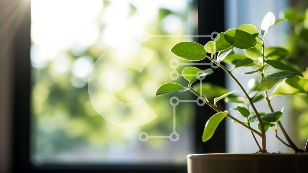 Intra Συλλεκτικό Ξύλινο Παζλ Plywood  4mm - Φυτό σε γλάστρα με πράσινα φύλλα μπροστά από ανοιχτό παράθυρο Σε Ξύλινο Κουτί - Διαστάσεις: 10x10 cm – 25 κομμάτια