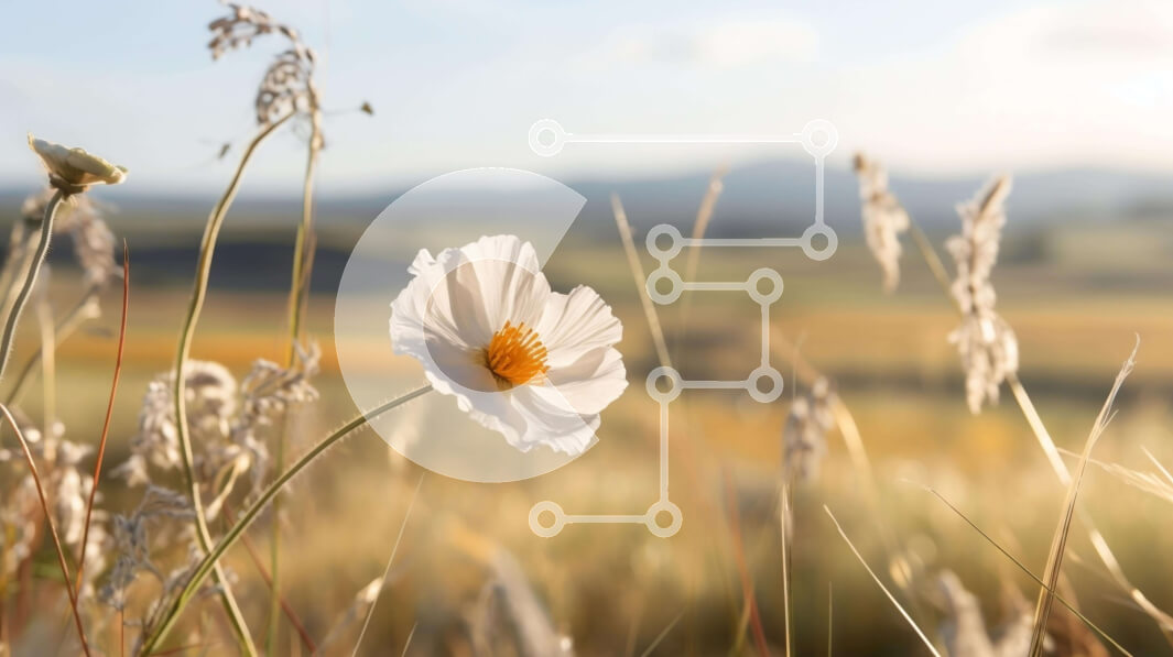 Intra Συλλεκτικό Ξύλινο Παζλ Plywood  4mm - Μονό λευκό λουλούδι σε ανοιχτό πεδίο Σε Ξύλινο Κουτί - Διαστάσεις: 10x10 cm – 25 κομμάτια