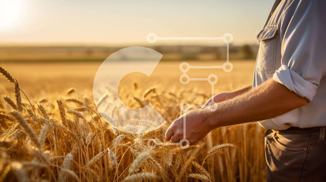 Intra Συλλεκτικό Ξύλινο Παζλ Plywood  4mm - Άνθρωπος που συγκομίζει σιτάρι σε ένα ανοιχτό χωράφι Σε Ξύλινο Κουτί - Διαστάσεις: 10x10 cm – 25 κομμάτια