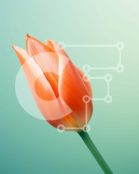 Intra Συλλεκτικό Ξύλινο Παζλ Plywood  4mm - Μονό πορτοκαλί λουλούδι τουλίπας σε άνθιση Σε Ξύλινο Κουτί - Διαστάσεις: 10x10 cm – 25 κομμάτια