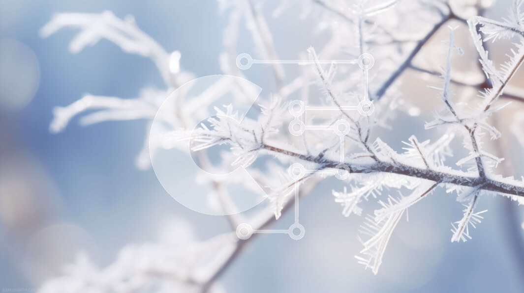 Intra Συλλεκτικό Ξύλινο Παζλ Plywood  4mm - Παγωμένος κλάδος δέντρου στο κρύο κλίμα Σε Ξύλινο Κουτί - Διαστάσεις: 10x10 cm – 25 κομμάτια