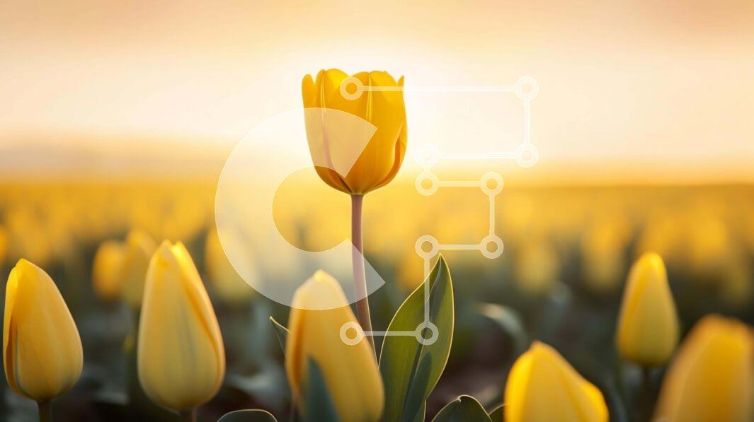 Intra Συλλεκτικό Ξύλινο Παζλ Plywood  4mm - Κίτρινη τουλίπα σε ένα χωράφι με λουλούδια Σε Ξύλινο Κουτί - Διαστάσεις: 10x10 cm – 25 κομμάτια