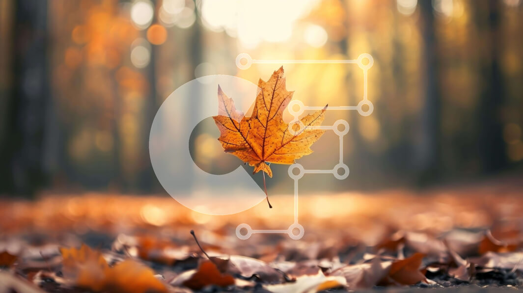 Intra Συλλεκτικό Ξύλινο Παζλ Plywood  4mm - Μονόφυλλο που επιπλέει στον αέρα Σε Ξύλινο Κουτί - Διαστάσεις: 10x10 cm – 25 κομμάτια