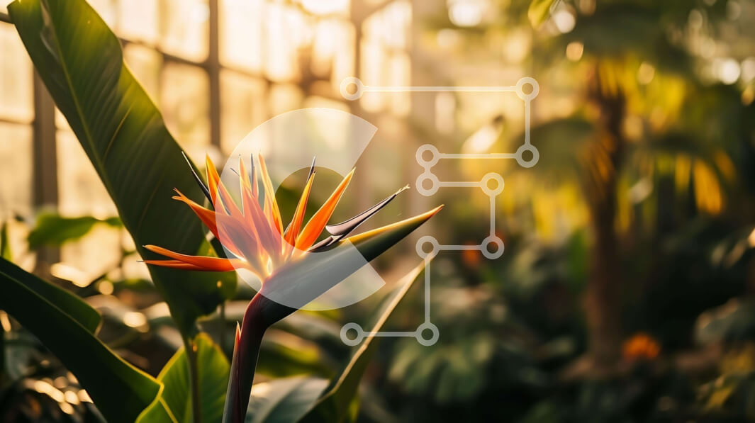 Intra Συλλεκτικό Ξύλινο Παζλ Plywood  4mm - Λουλούδι Bird of Paradise σε καταπράσινο φύλλωμα Σε Ξύλινο Κουτί - Διαστάσεις: 10x10 cm – 25 κομμάτια