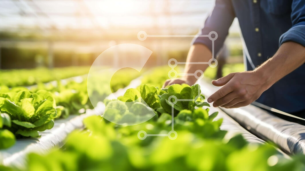 Σετ των 2 Intra Συλλεκτικό Ξύλινο Παζλ Plywood  4mm - Άνδρας που μαζεύει μαρούλι σε ένα εσωτερικό υδροπονικό θερμοκήπιο Σε Ξύλινο Κουτί - Διαστάσεις: 10x10 cm – 25 κομμάτια