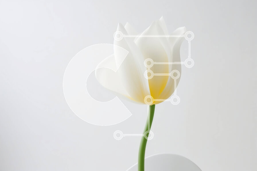 Intra Συλλεκτικό Ξύλινο Παζλ Plywood  4mm - Μονό λευκό λουλούδι τουλίπας σε κενό βάζο Σε Ξύλινο Κουτί - Διαστάσεις: 10x10 cm – 25 κομμάτια