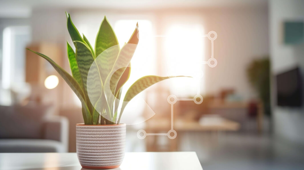 Intra Συλλεκτικό Ξύλινο Παζλ Plywood  4mm - Υγιές φυτό σε γλάστρα στο τραπέζι του σαλονιού Σε Ξύλινο Κουτί - Διαστάσεις Puzzle: 10x10 cm – 25 κομμάτια