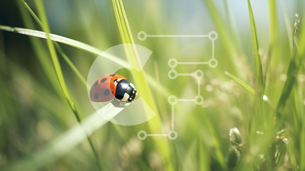 Intra Συλλεκτικό Ξύλινο Παζλ Plywood  4mm - Πασχαλίτσα σε ψηλό γρασίδι Σε Ξύλινο Κουτί - Διαστάσεις: 10x10 cm – 25 κομμάτια