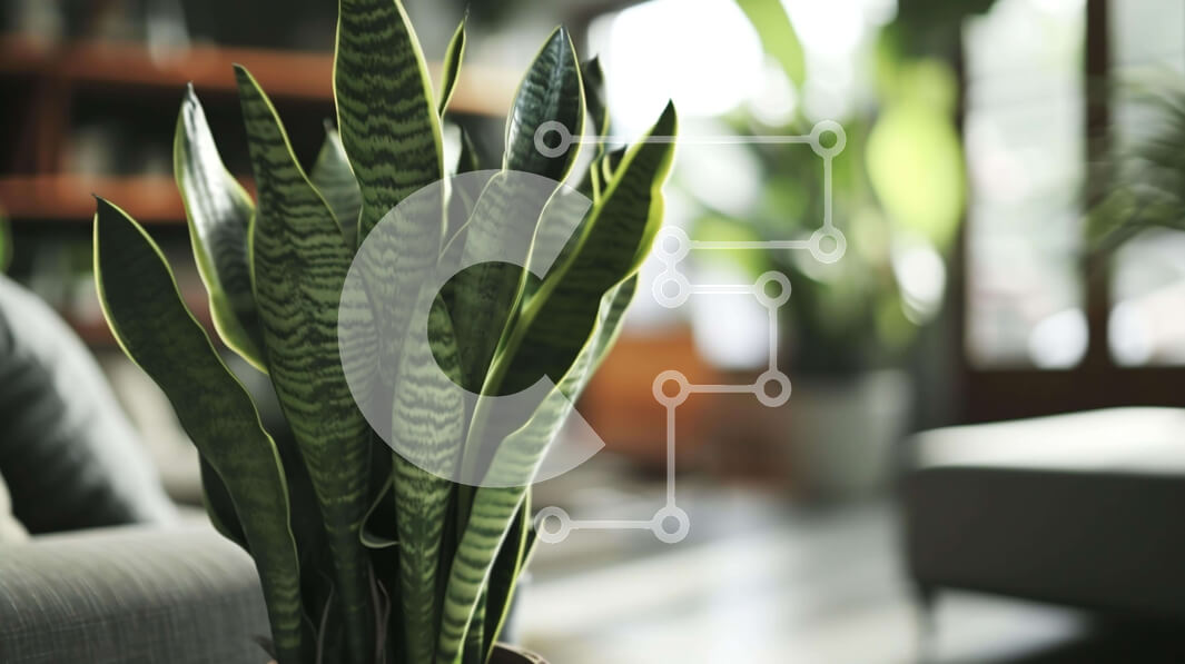 Intra Συλλεκτικό Ξύλινο Παζλ Plywood  4mm - Διακοσμητικό φυτό σε γλάστρα στο σαλόνι με βιβλία Σε Ξύλινο Κουτί - Διαστάσεις Puzzle: 10x10 cm – 25 κομμάτια