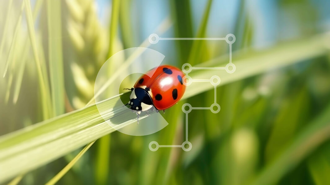 Intra Συλλεκτικό Ξύλινο Παζλ Plywood  4mm - Πασχαλίτσα σε στέλεχος πράσινου χόρτου Σε Ξύλινο Κουτί - Διαστάσεις: 10x10 cm – 25 κομμάτια