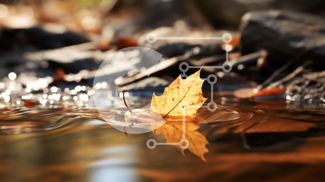 Intra Συλλεκτικό Ξύλινο Παζλ Plywood  4mm - Ενιαίο κίτρινο φύλλο που επιπλέει στο νερό κοντά σε βράχους και πεσμένα φύλλα Σε Ξύλινο Κουτί - Διαστάσεις: 10x10 cm – 25 κομμάτια