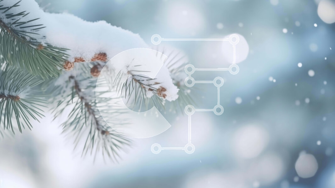 Intra Συλλεκτικό Ξύλινο Παζλ Plywood  4mm - Winter Wonderland: Χιονισμένο κλαδί πεύκου Σε Ξύλινο Κουτί - Διαστάσεις: 10x10 cm – 25 κομμάτια