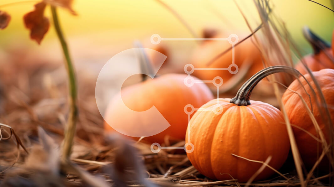 Intra Συλλεκτικό Ξύλινο Παζλ Plywood  4mm - Ομάδα πορτοκαλιών κολοκύθες σε αποξηραμένα φύλλα Σε Ξύλινο Κουτί - Διαστάσεις: 10x10 cm – 25 κομμάτια