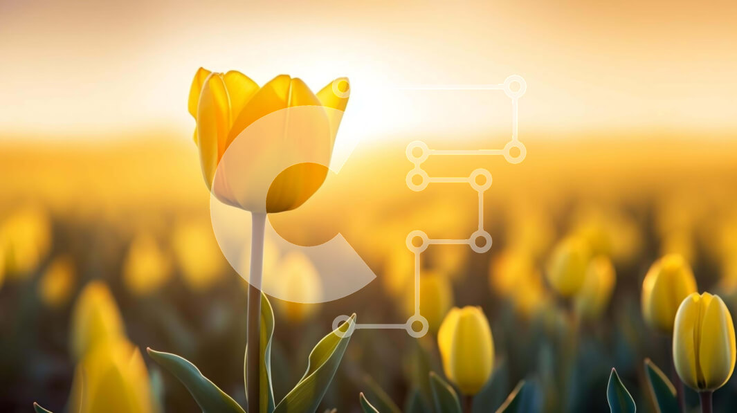 Intra Συλλεκτικό Ξύλινο Παζλ Plywood  4mm - Μονή κίτρινη τουλίπα σε ένα χωράφι με λουλούδια Σε Ξύλινο Κουτί - Διαστάσεις: 10x10 cm – 25 κομμάτια