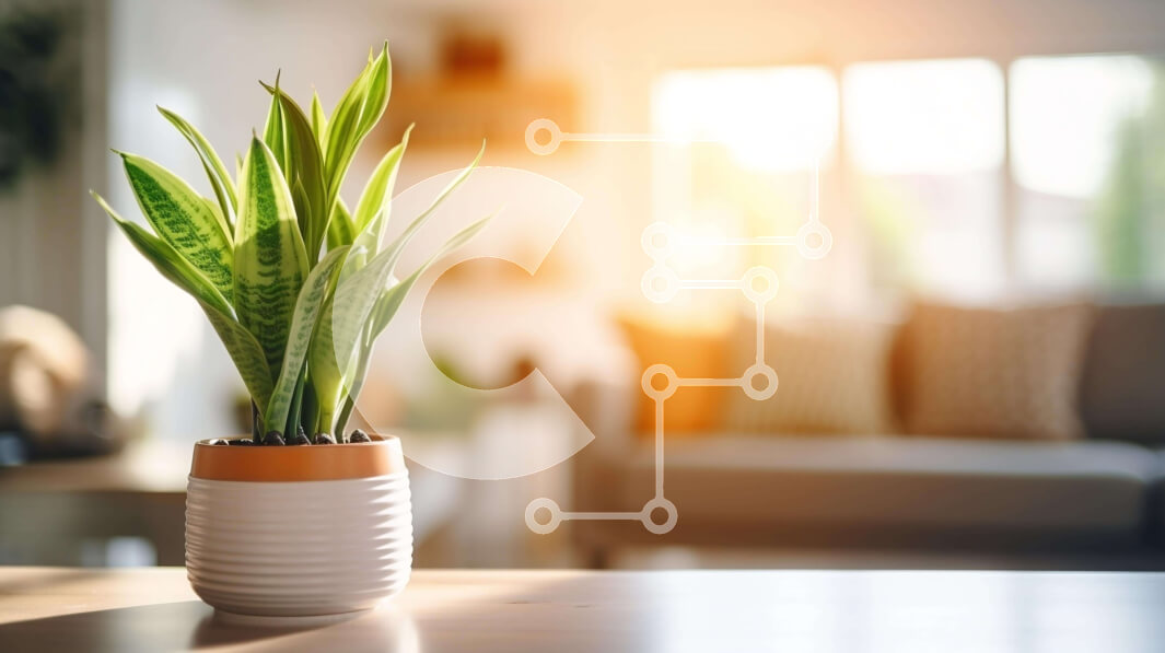 Intra Συλλεκτικό Ξύλινο Παζλ Plywood  4mm - Υγιές φυτό σε γλάστρα σε ξύλινο τραπέζι στο σαλόνι Σε Ξύλινο Κουτί - Διαστάσεις Puzzle: 10x10 cm – 25 κομμάτια