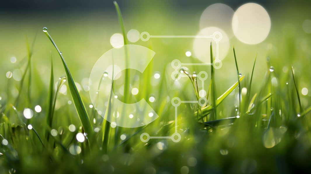 Intra Συλλεκτικό Ξύλινο Παζλ Plywood  4mm - Κοντινό πλάνο της πράσινης χλόης με σταγονίδια νερού Σε Ξύλινο Κουτί - Διαστάσεις: 10x10 cm – 25 κομμάτια