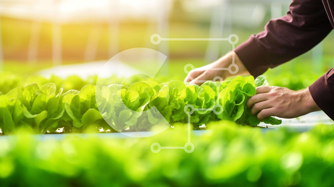 Intra Συλλεκτικό Ξύλινο Παζλ Plywood  4mm - Εσωτερική Υδροπονική Καλλιέργεια Θερμοκηπίου Σε Ξύλινο Κουτί - Διαστάσεις: 10x10 cm – 25 κομμάτια