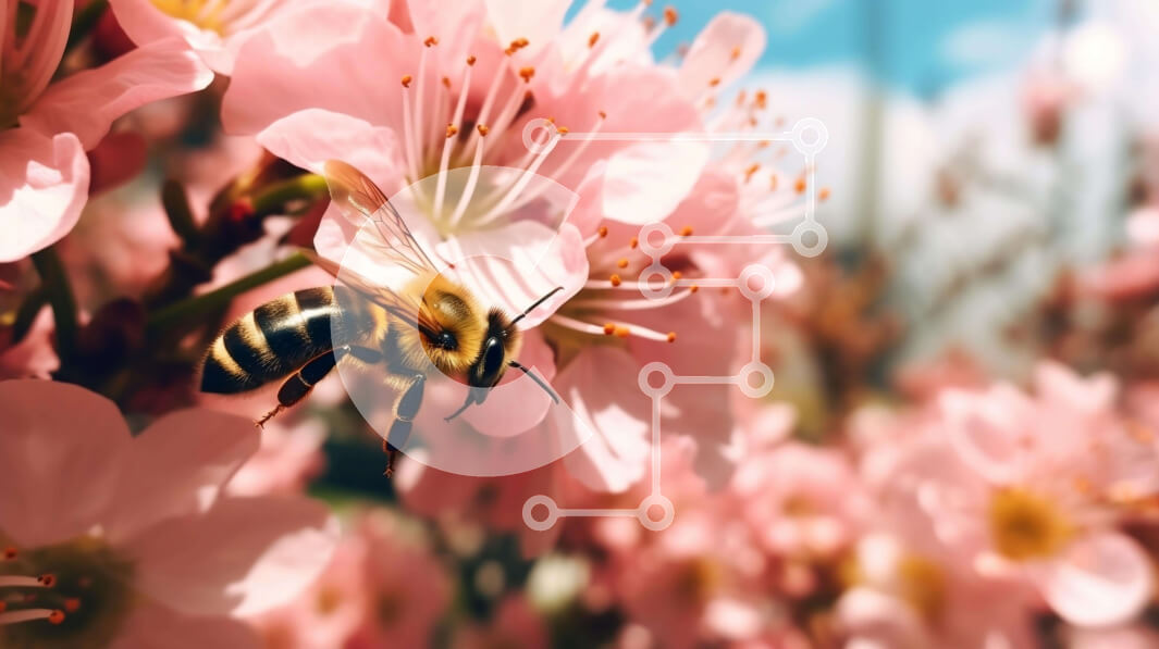 Intra Συλλεκτικό Ξύλινο Παζλ Plywood  4mm - Μέλισσα αιωρείται πάνω από ροζ άνθη κερασιάς Σε Ξύλινο Κουτί - Διαστάσεις: 10x10 cm – 25 κομμάτια