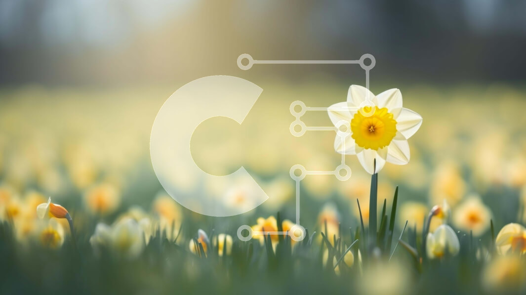 Intra Συλλεκτικό Ξύλινο Παζλ Plywood  4mm - Ζωντανός κίτρινος ασφόδελος σε ένα χωράφι με μαργαρίτες Σε Ξύλινο Κουτί - Διαστάσεις: 10x10 cm – 25 κομμάτια