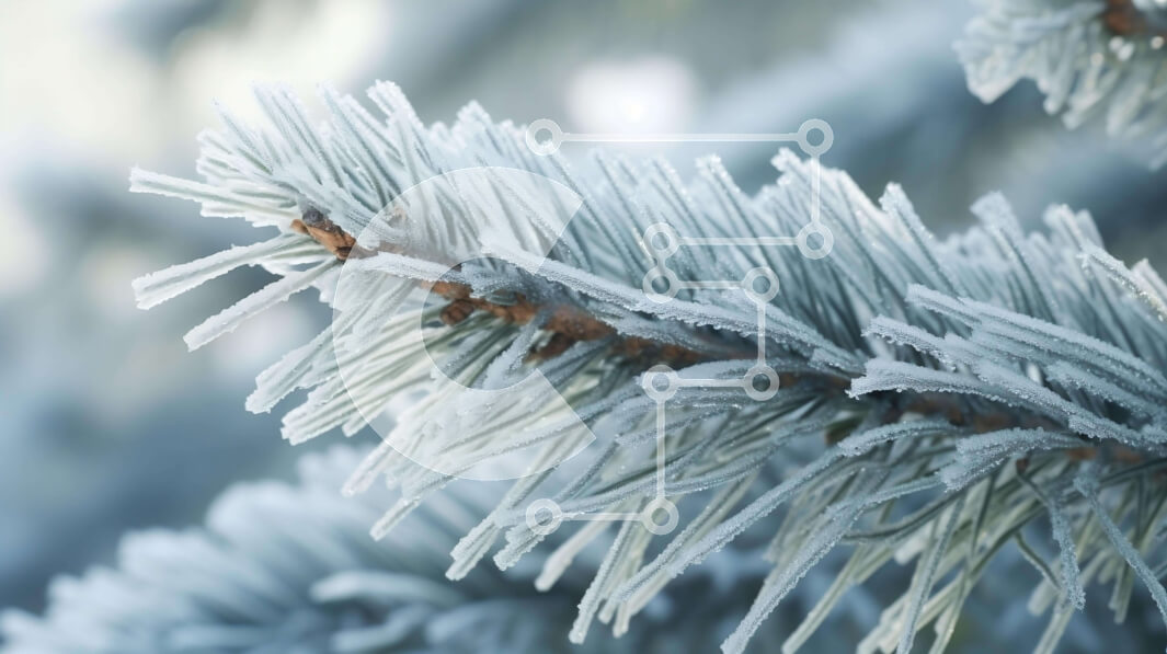 Intra Συλλεκτικό Ξύλινο Παζλ Plywood  4mm - Κοντινό πλάνο του παγωμένου αειθαλούς κλάδου δέντρου Σε Ξύλινο Κουτί - Διαστάσεις: 10x10 cm – 25 κομμάτια