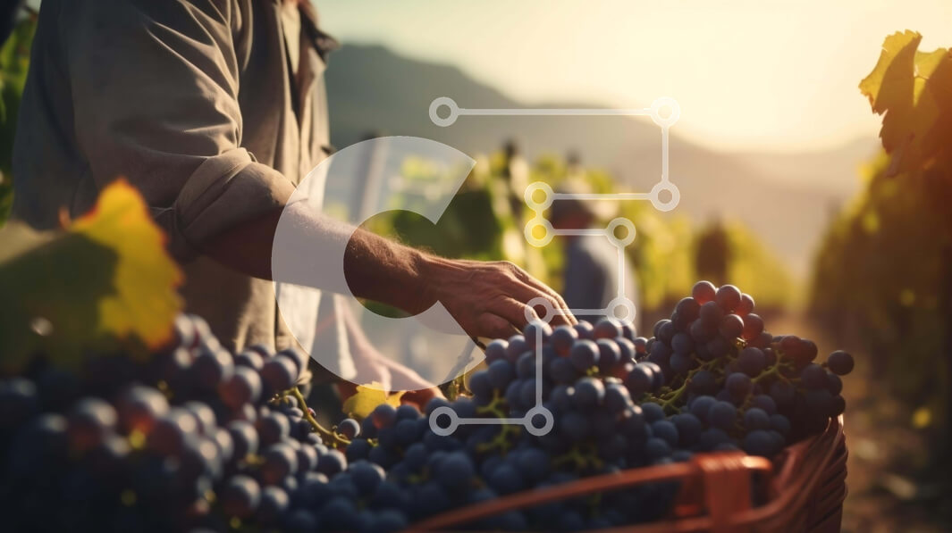 Intra Συλλεκτικό Ξύλινο Παζλ Plywood  4mm - Συγκομιδή σταφυλιών σε έναν αμπελώνα Σε Ξύλινο Κουτί - Διαστάσεις: 10x10 cm – 25 κομμάτια