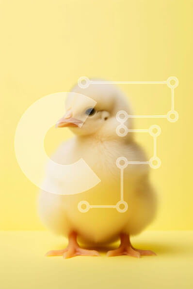 Σετ των 2 Intra Συλλεκτικό Ξύλινο Παζλ Plywood  4mm - Λευκό κοτόπουλο σε πορτοκαλί και κίτρινο φόντο Σε Ξύλινο Κουτί - Διαστάσεις: 10x10 cm – 25 κομμάτια