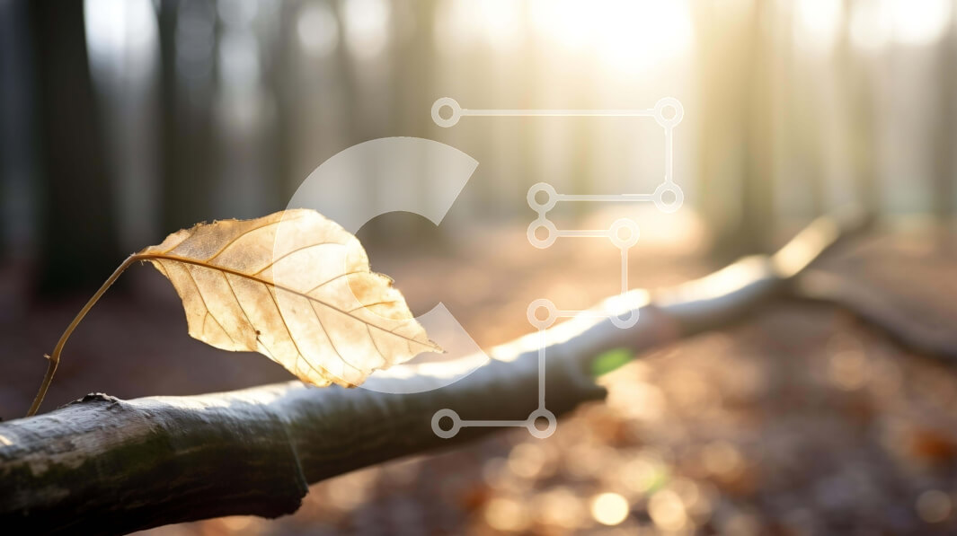 Intra Συλλεκτικό Ξύλινο Παζλ Plywood  4mm - Μονόφυλλο βελανιδιάς στο δάσος Σε Ξύλινο Κουτί - Διαστάσεις: 10x10 cm – 25 κομμάτια