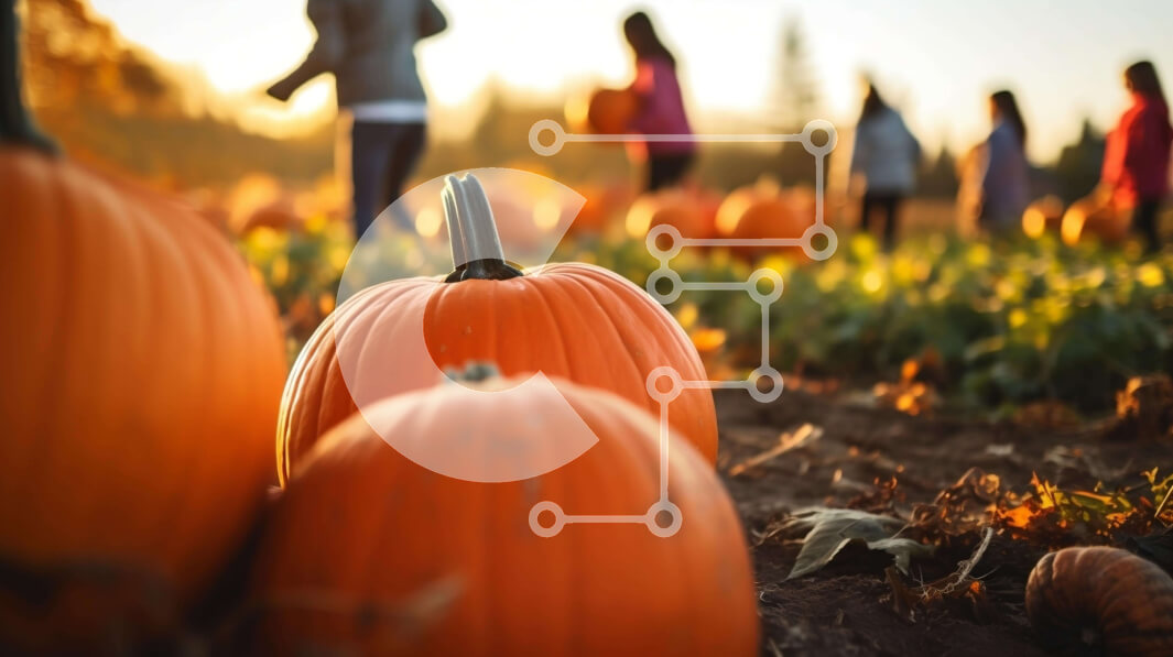 Intra Συλλεκτικό Ξύλινο Παζλ Plywood  4mm - Πεδίο με κολοκύθες με ανθρώπους Σε Ξύλινο Κουτί - Διαστάσεις: 10x10 cm – 25 κομμάτια