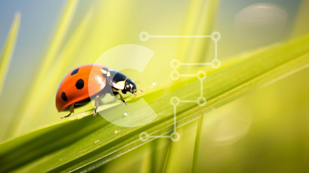 Intra Συλλεκτικό Ξύλινο Παζλ Plywood  4mm - Κοντινό πλάνο μιας πασχαλίτσας σε μια λεπίδα από γρασίδι Σε Ξύλινο Κουτί - Διαστάσεις: 10x10 cm – 25 κομμάτια