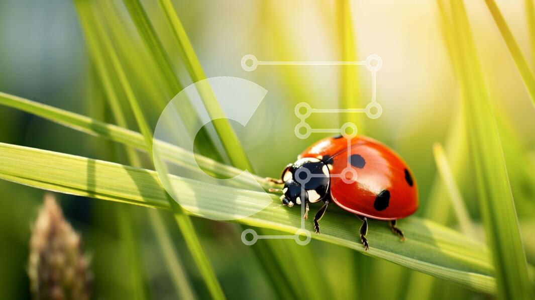 Intra Συλλεκτικό Ξύλινο Παζλ Plywood  4mm - Κοντινό πλάνο της Πασχαλίτσας στο πράσινο γρασίδι Σε Ξύλινο Κουτί - Διαστάσεις: 10x10 cm – 25 κομμάτια