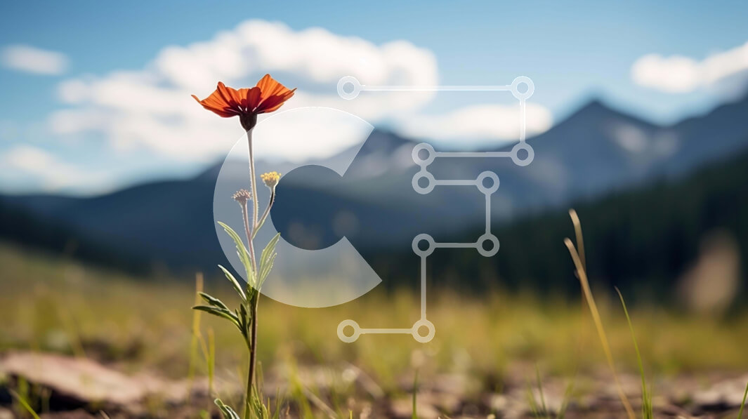 Intra Συλλεκτικό Ξύλινο Παζλ Plywood  4mm - Ζωντανό κόκκινο λουλούδι στο γραφικό ανοιχτό πεδίο Σε Ξύλινο Κουτί - Διαστάσεις: 10x10 cm – 25 κομμάτια