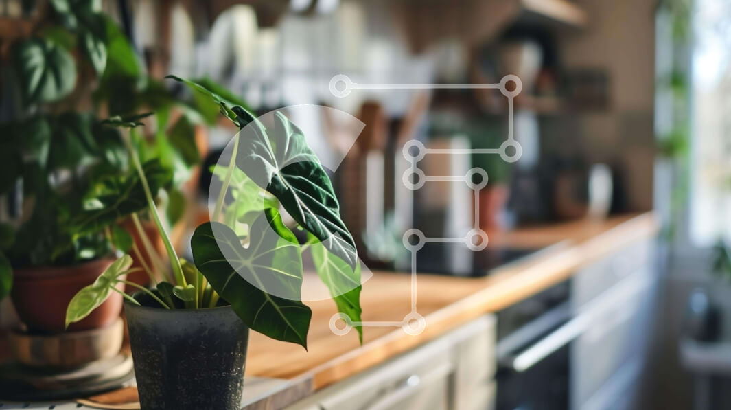 Intra Συλλεκτικό Ξύλινο Παζλ Plywood  4mm - Πράσινη κουζίνα με ζωηρά φυτά σε γλάστρες Σε Ξύλινο Κουτί - Διαστάσεις Puzzle: 10x10 cm – 25 κομμάτια